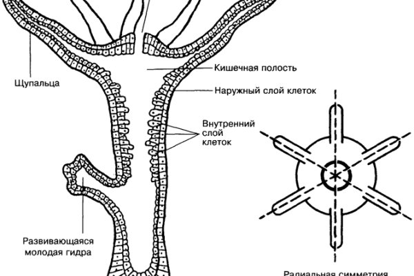 Официальный сайт кракен тор