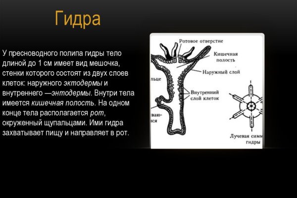 Кракен современный маркетплейс